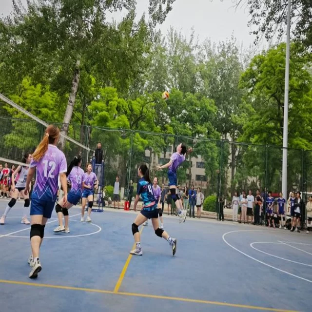 乒乓球冠军竞争格局背后的数据解读